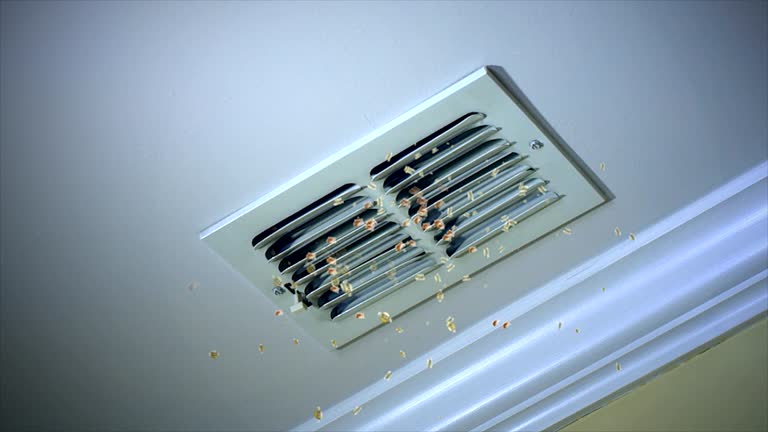 Best Air Vent Cleaning Services  in Waldo, AR