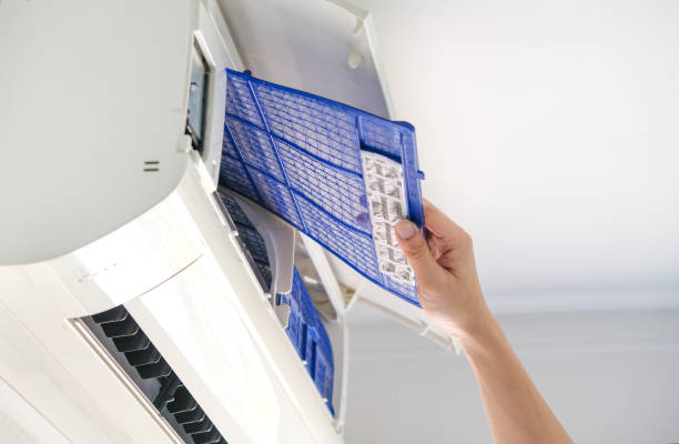 Air Duct Mold Removal in AR
